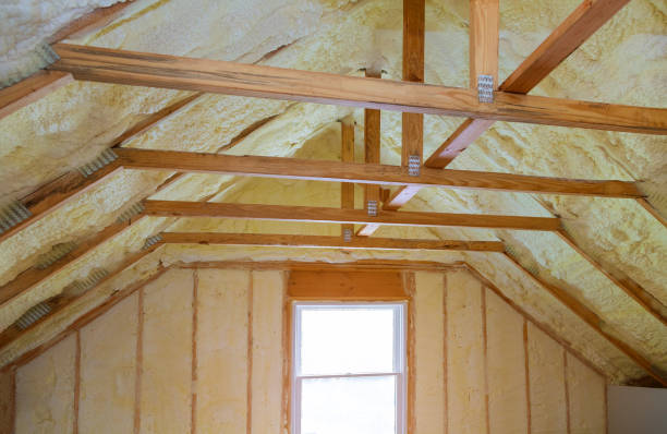 Types of Insulation We Offer in Beverly Hills, FL