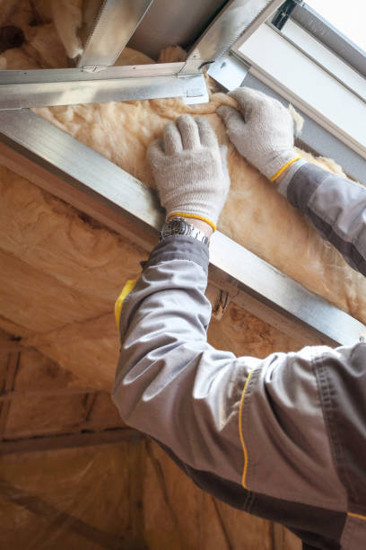 Best Insulation Maintenance and Repair in Beverly Hills, FL