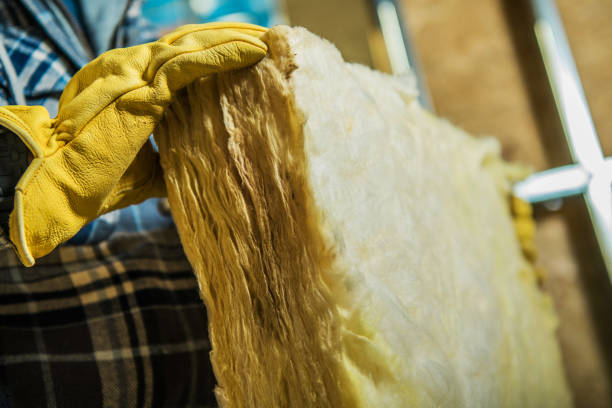 Best Eco-Friendly Insulation in Beverly Hills, FL