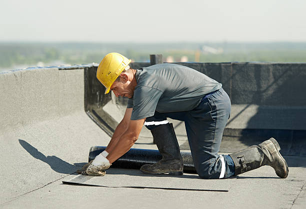 Best Specialized Insulation Services in Beverly Hills, FL